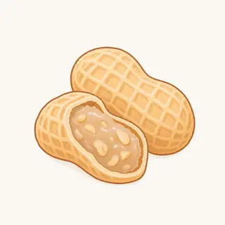 ぴーなっつ最中の特徴を描いたイラスト